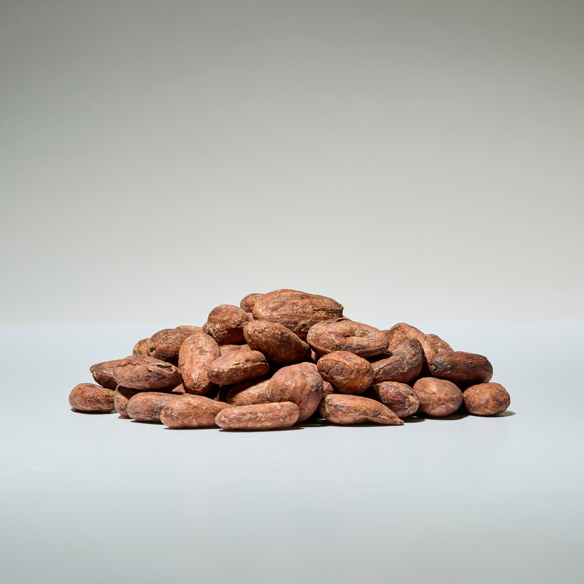 Fèves de cacao crues