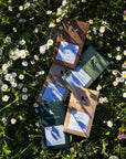 Pack Été - 4 tablettes de chocolat noir bean to bar 73 % à 76 %