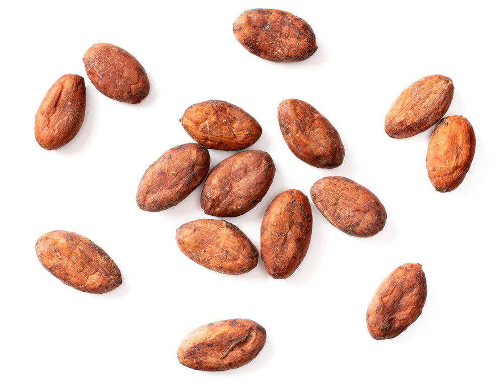 Fèves de cacao crues