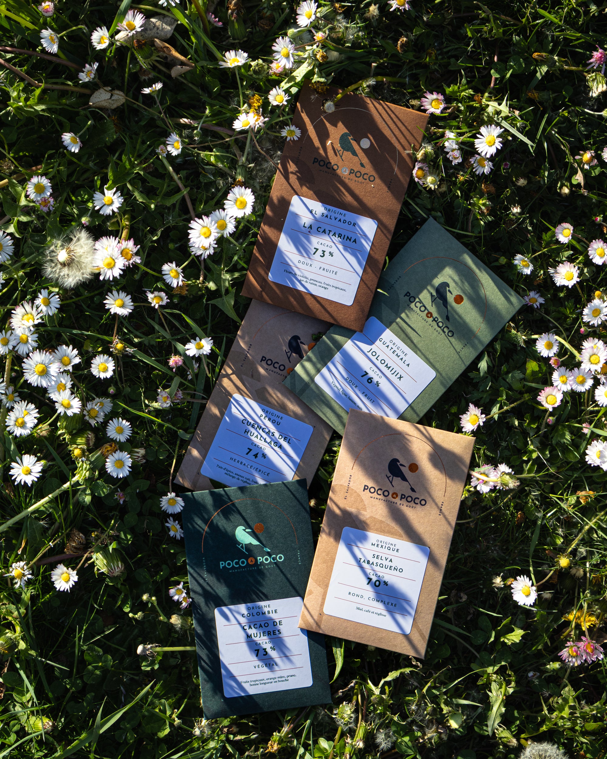 Pack Été - 4 tablettes de chocolat noir bean to bar 73 % à 76 %